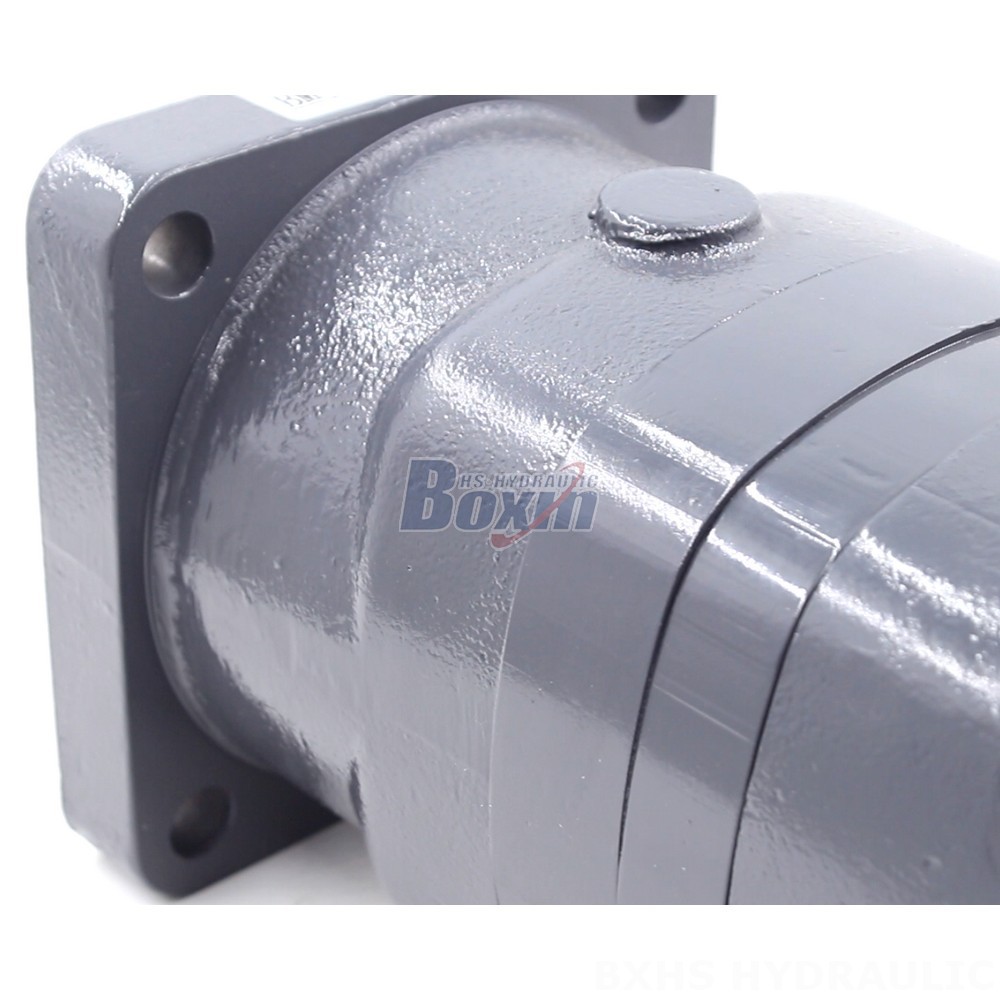 BM6 Cycloid Hydraulic Motor OEM/ODM Services: 195 cc/r, 150 Lpm detail image